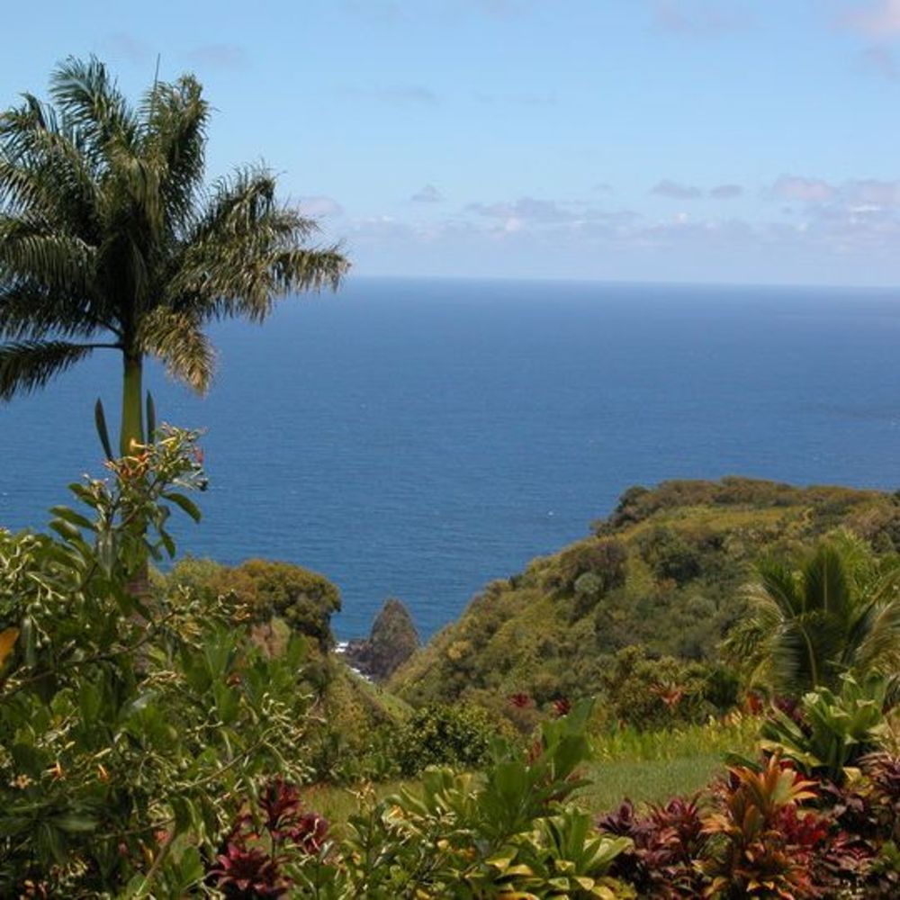 Meet your Posher, Monique